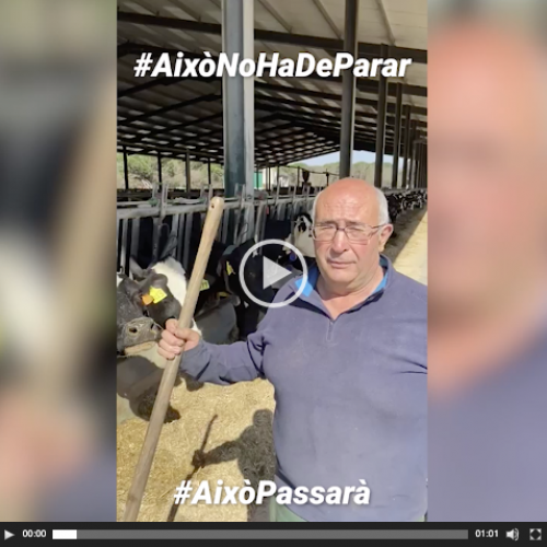 Proveïdors de Mercadona fan viral un vídeo per animar la ciutadania a no defallir #AixòPassarà #AixòNoPotParar