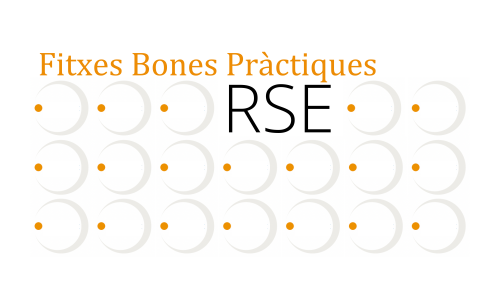 Fitxes de Bones Pràctiques en RSE de les empreses participants en l’RSE.Pime 21-22