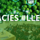 L’activisme empresarial i la responsabilitat social a les empreses de Lleida